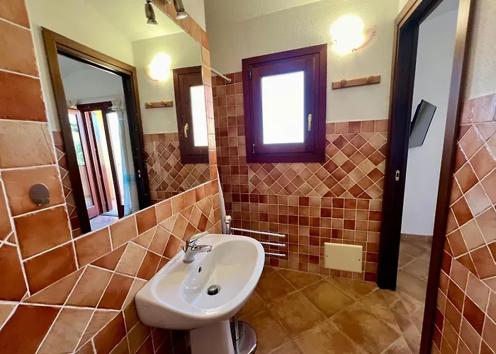 Sunrise ブドーニ